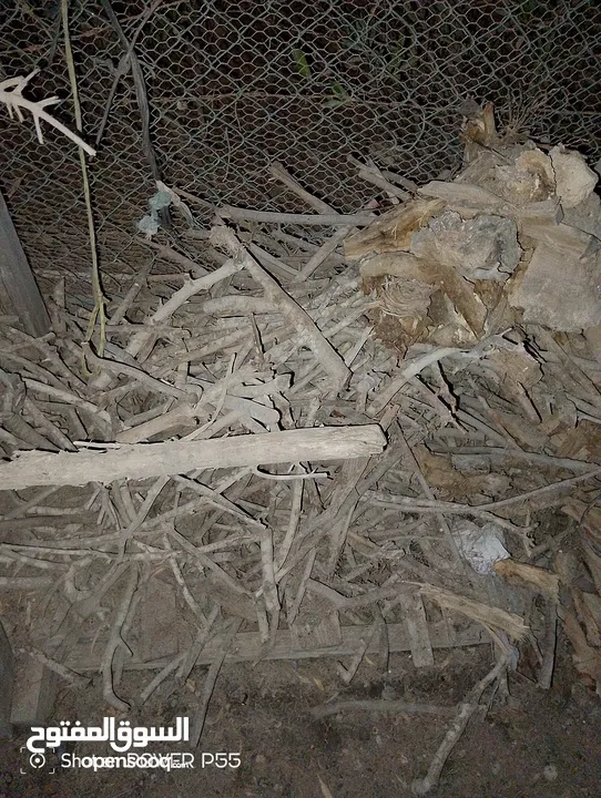 تشكيلة حطب للبيع