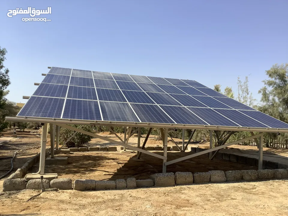مزرعة في البحر الميت/ الشونه الجنوبية / السويمه / حوض جلد مميزة للبيع للجادين فقط