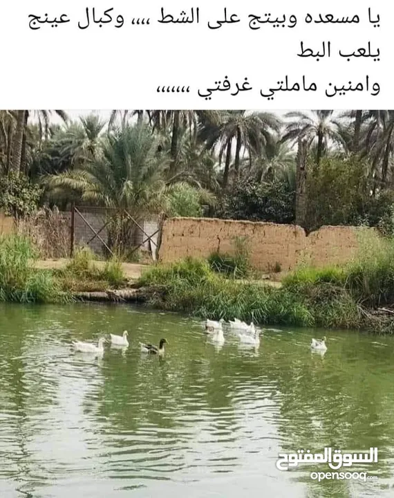 بيت للبيع في البصرة