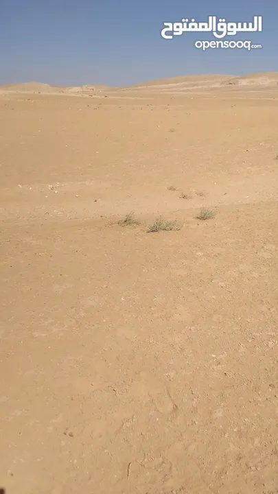 أرض للبيع في أجمل مناطق جنوب عمان