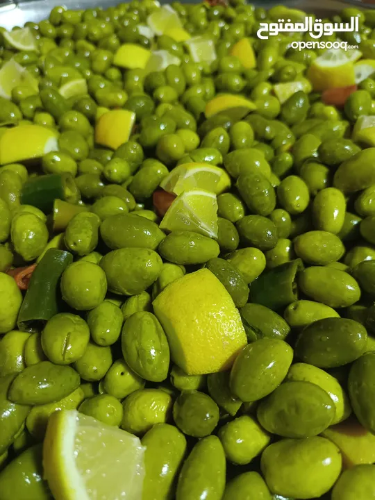 زيتون أخضر بلدي جبال جرش
