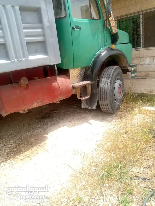 قلاب فطس للبيع