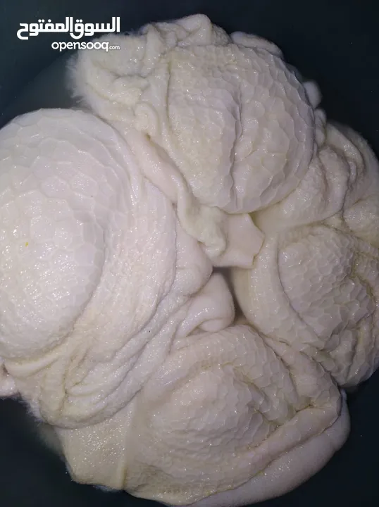 طعام تواصي بيتي