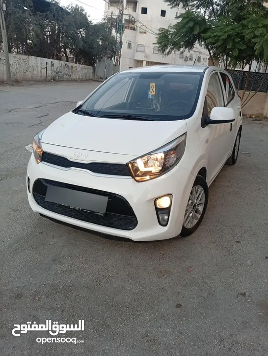 كيا بيكانتو 2022 سعر حرق على الكاش إمكانية البيع نص كاش ونص شكات مع فرق في السعر إمكانية البدل