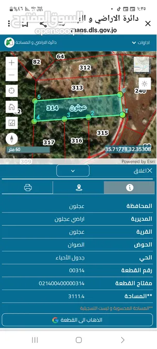 دونمين ونصف زيتون للبيع في عجلون قرب التلفريك