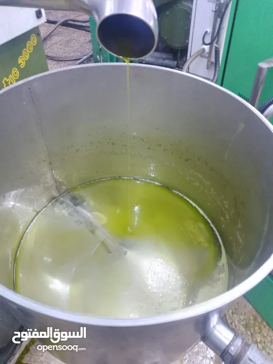زيت زيتون بعل رومي جوده عاليه