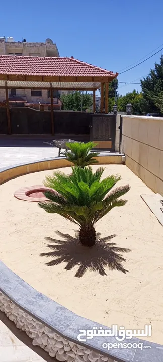 صيانة منازل وحدائق