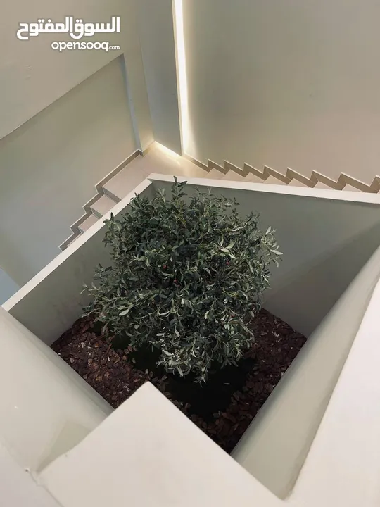 محل تجاري للبيع خلو