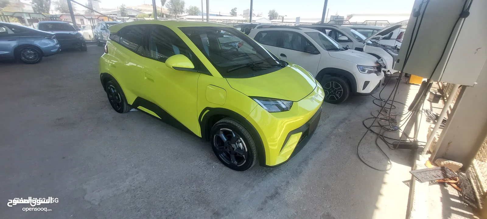بي واي دي سيجال موديل2023