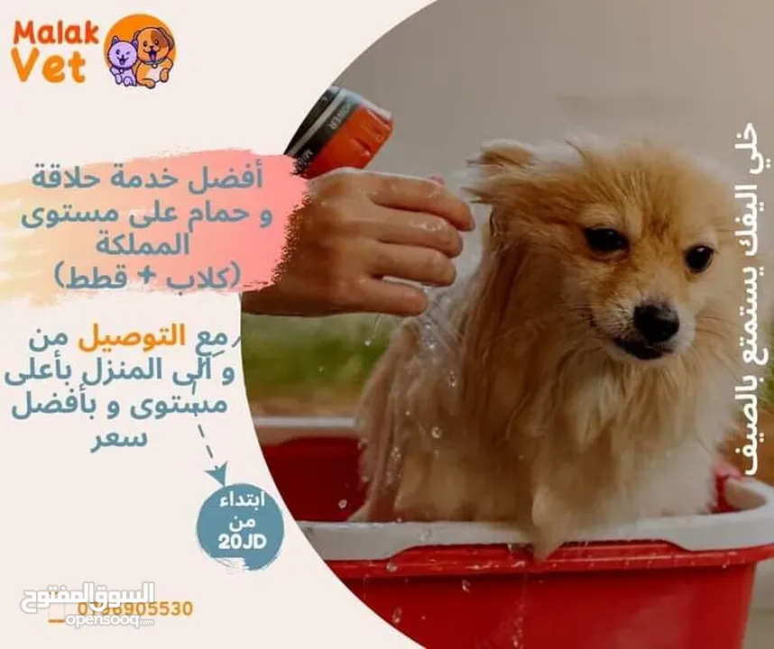 خدمات بيطرية متكاملة للحيوانات الاليفة