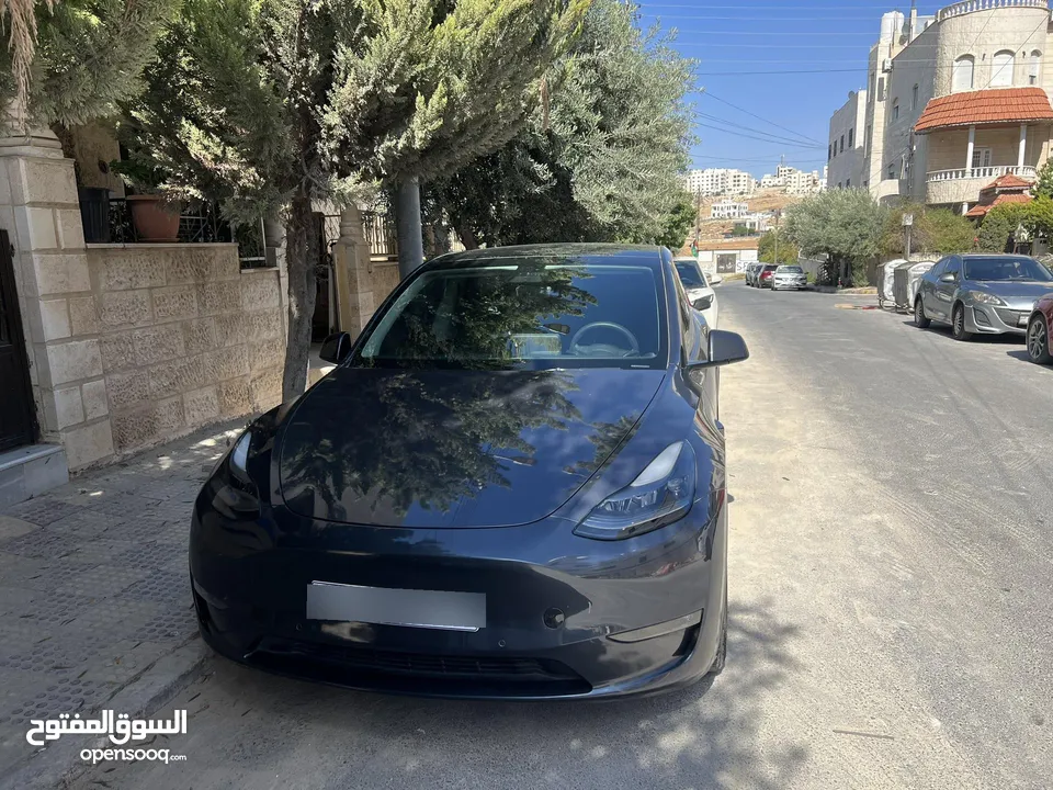 تيسلا y 2022 بيرفورمانس اعلى صنف ناجح اوتوسكور