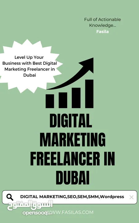Digital Marketing Freelancer in Dubai