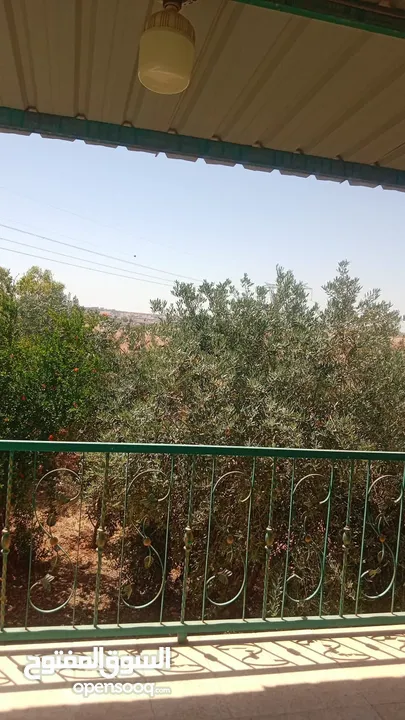 شقق مفروشه للايجار اليومي