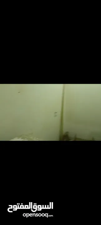 محل 70 متر كامل المرافق عداد مياه وكهربا متشطب ممتاز جدا عماره جديده شارع نخله برج نخله مقابل شركه غ