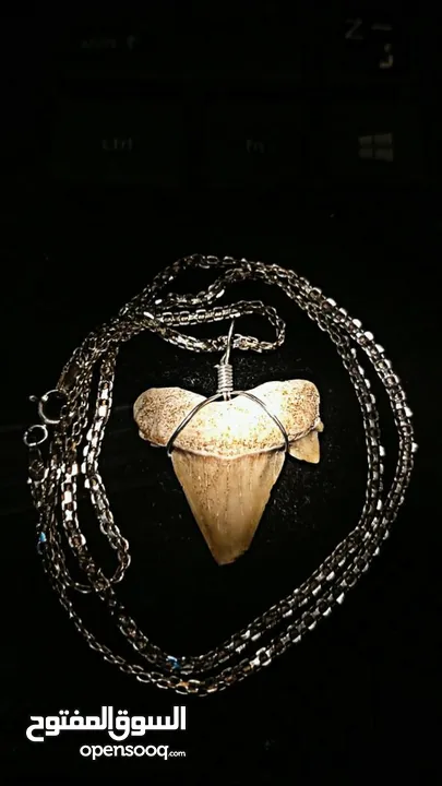 Italian silver necklace with wire wrapped ancient shark tooth fossil + free leather rope