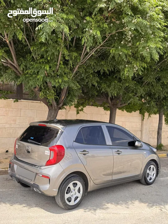 كيا مورنينج وارد كوري فحص كامل جمرك جديد