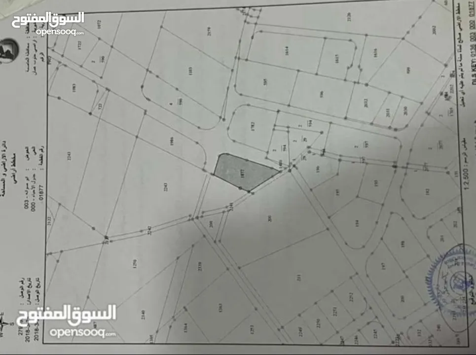 ارض صناعي للبيع في الرقيم