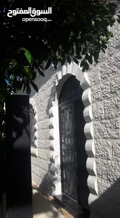 سليم علي سليم