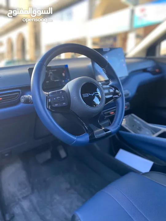 بي واي دي سيجيل 2023 بطارية 305