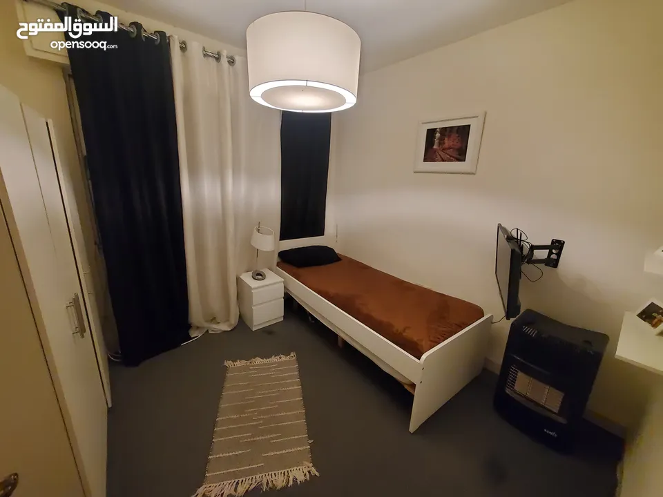 مطلوب شريك سكن لشقة مفروشة في عبدون