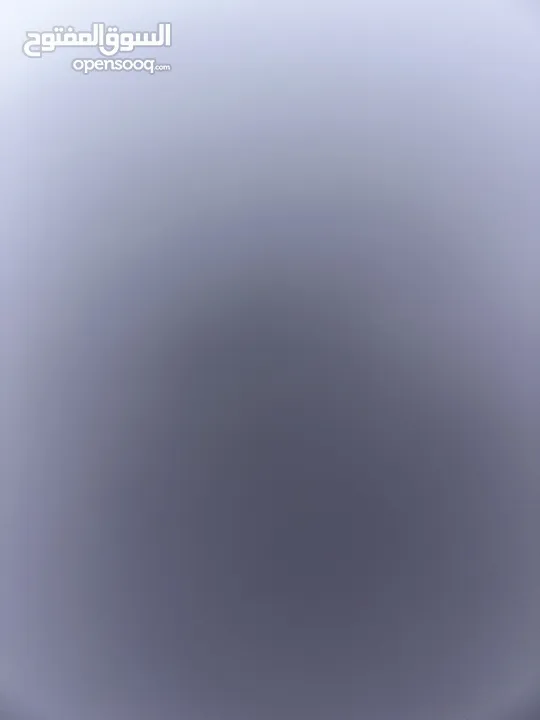 مطلوب بطه و صوص صغار