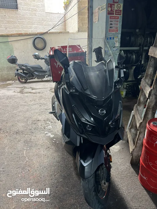 كروز ديجتال 2022