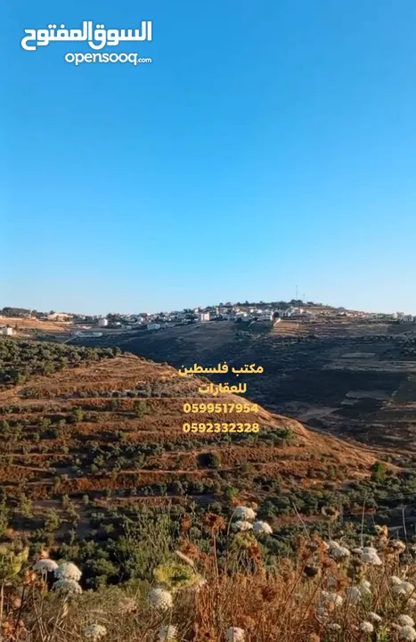 ارض كوشان مستقل في اجمل اراضي العامرية قرب  منتجع ART حوض المفاجر منطقة فلل