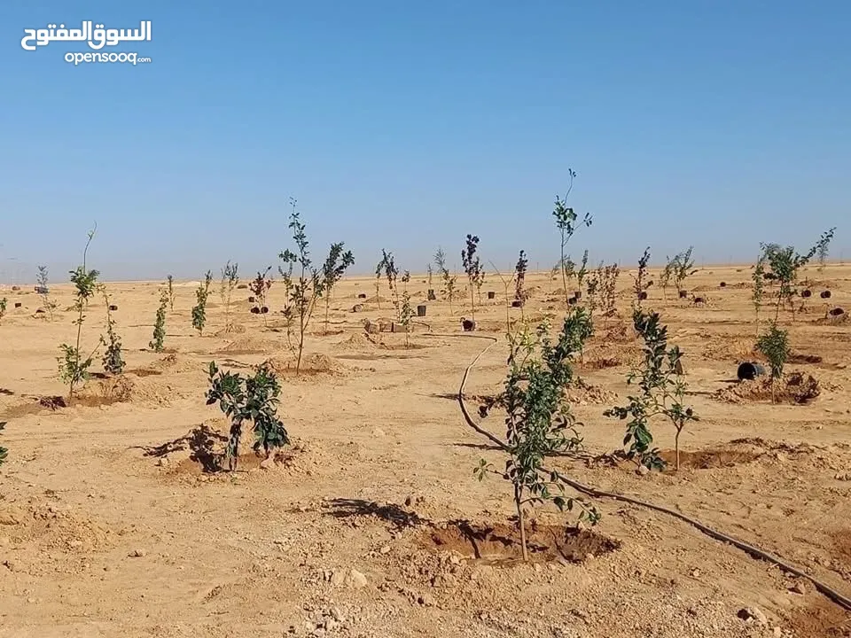 أرض بمساحة 3600m على طريق المطار ضمن كومباوند المطار 4