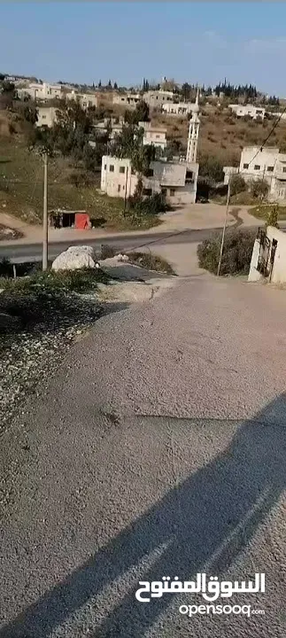 ارض من أراضي اربد في قريت بيت يافا معمر عليها بيت قديم