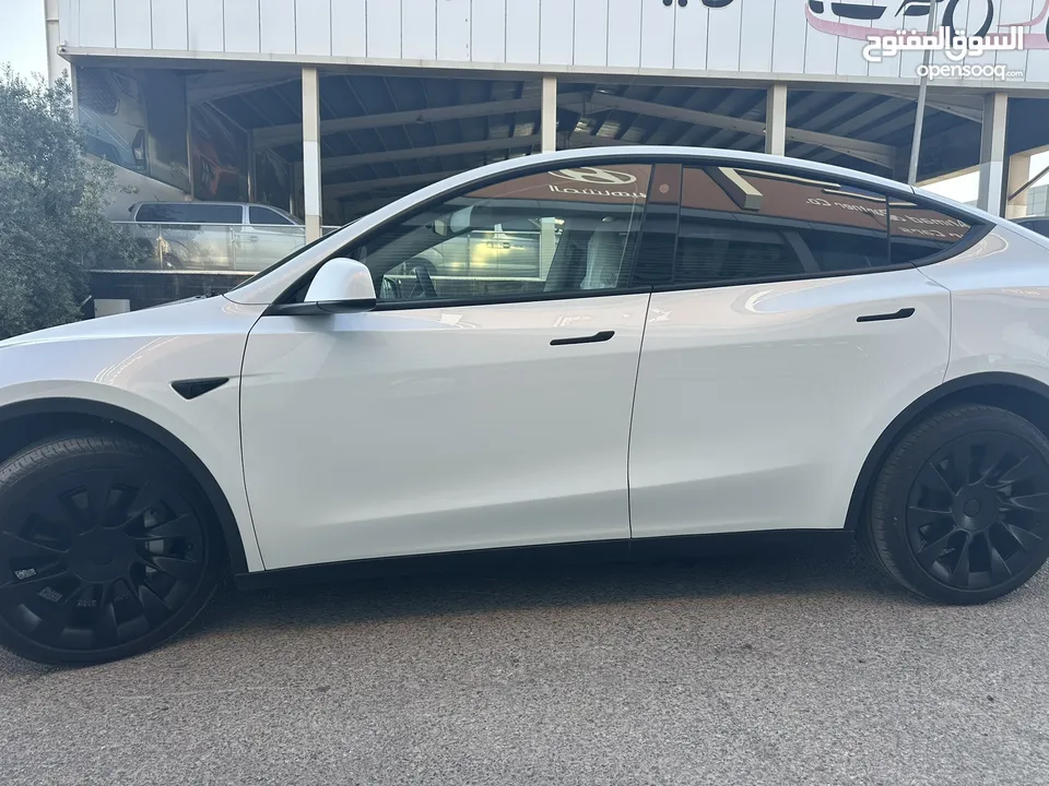 TESAL MODEL Y LONG RANGE DUILMOTOR 2023