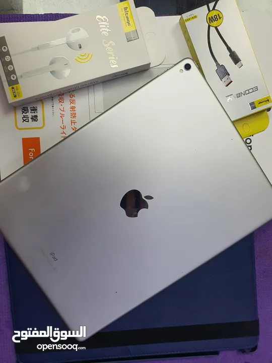 iPad Pro 12.9 256GB