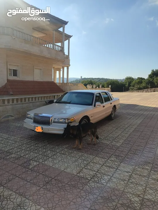 LINCOLN TOWN CAR (CARTIER) لينكولن تاون كار (كارتير)