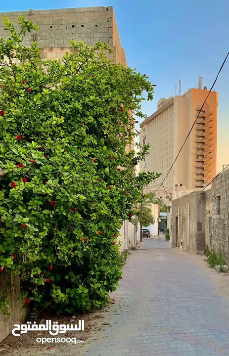 منزل للبيع في زاوية دهماني امام مستشفى العيون / فندق المهاري بالقرب من مسجد زاوية الدهماني (الكبير)