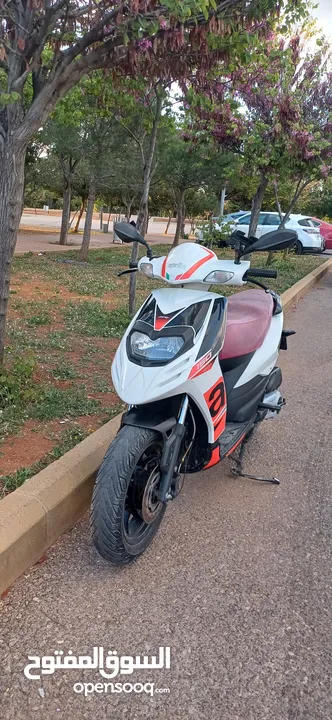 سكوتر بريليا للبيع مرخص لغاية شهر 2 للبيع بسبب عدم اتفرغ  بسعر 700 بحالة الوكاله  لون ابيض خالي من
