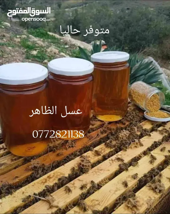 عسل الظاهر  للعسل البلدي الأصلي ومنتجات النحل