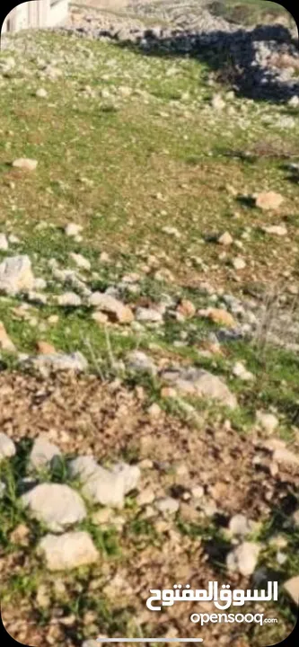 اراضي في المساكن الشعبيه نابلس