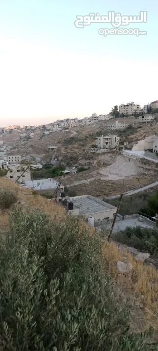 قطعة أرض طابو للبيع