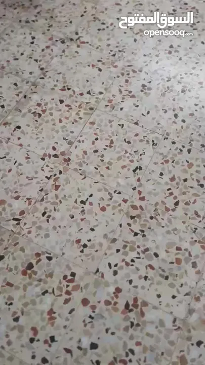 بسكليت كهرباء 48 فولت 20 امبير البسكليت بالكرتونة شبه جديد