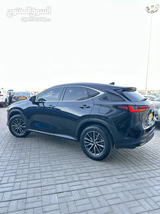 Lexus NX 250 2023 16km لكزس ان ايكس وارد ب حادث بسيط ممشي 16 الف كيلومتر نظيف و جاهز