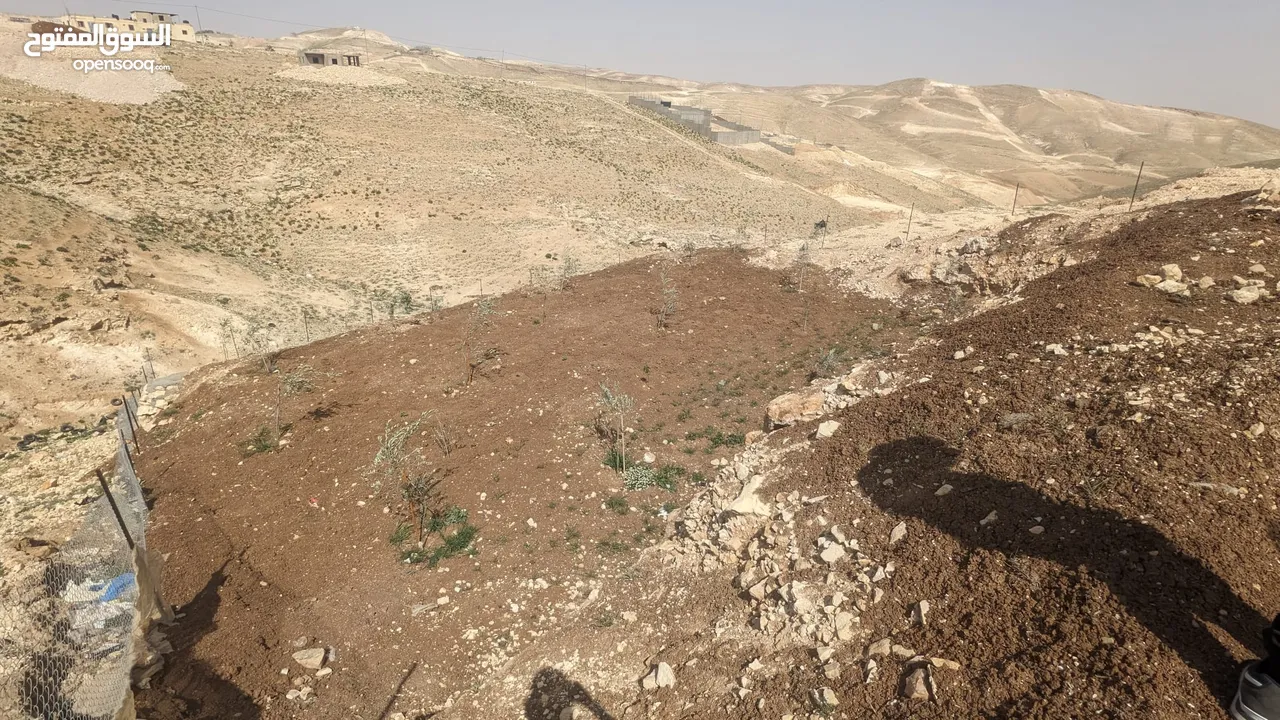 ارض مميزة محفورة بسعر مناسب