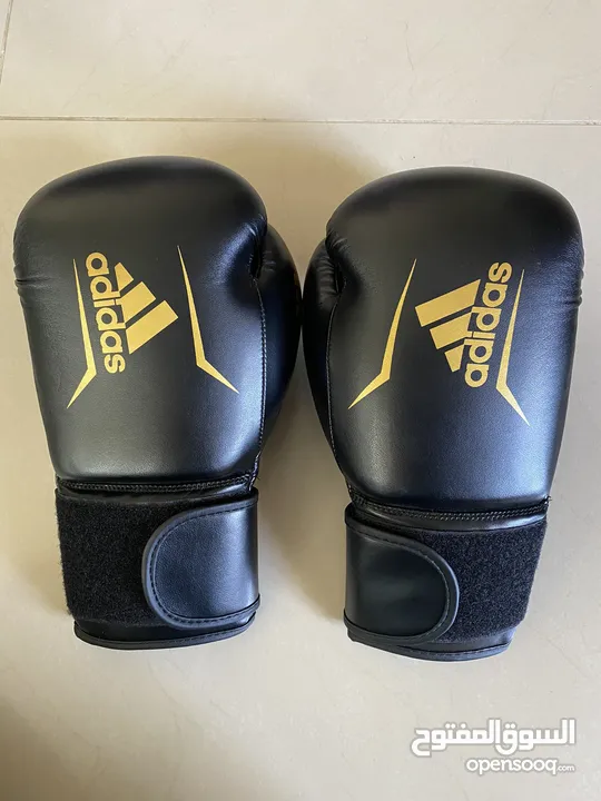 كفوف ملاكمة Boxing gloves Adidas