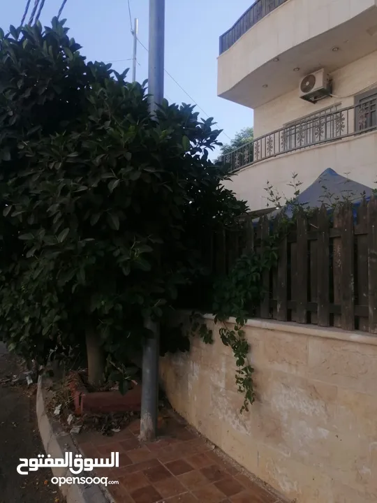 شقه سوبر ديلوكس للبيع