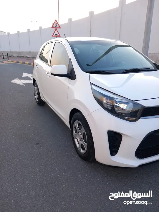 KIA PEKANTOO GCC MODEL 2019 FULL OTOMATEK