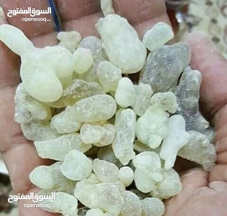 بيع منتجات عمانيه اصليه من العسل جبلي ولبان والبخور