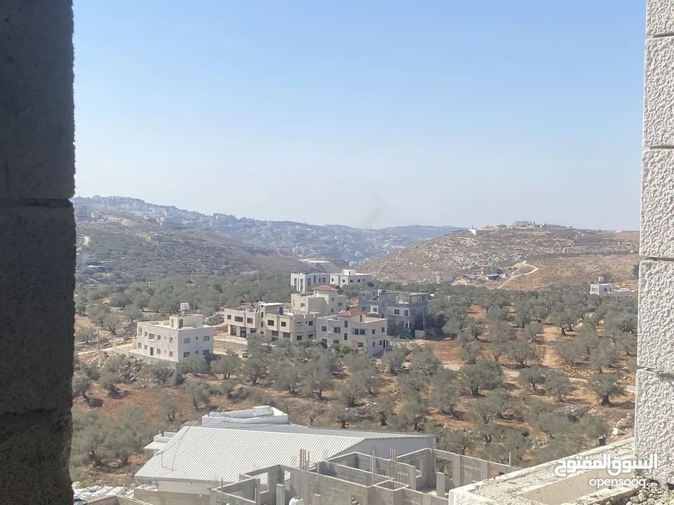 شقق عظم جديدة