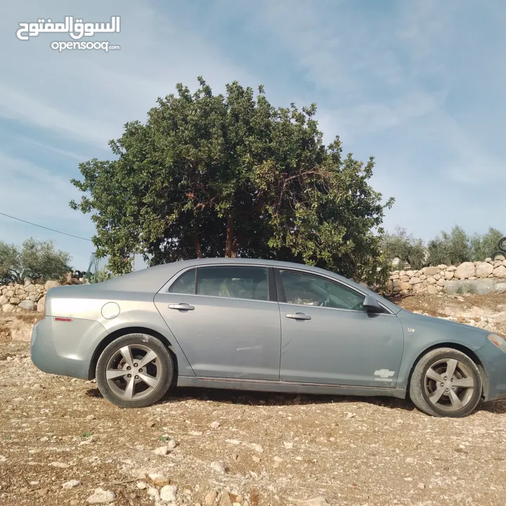 شفرليت ماليبو للبيع