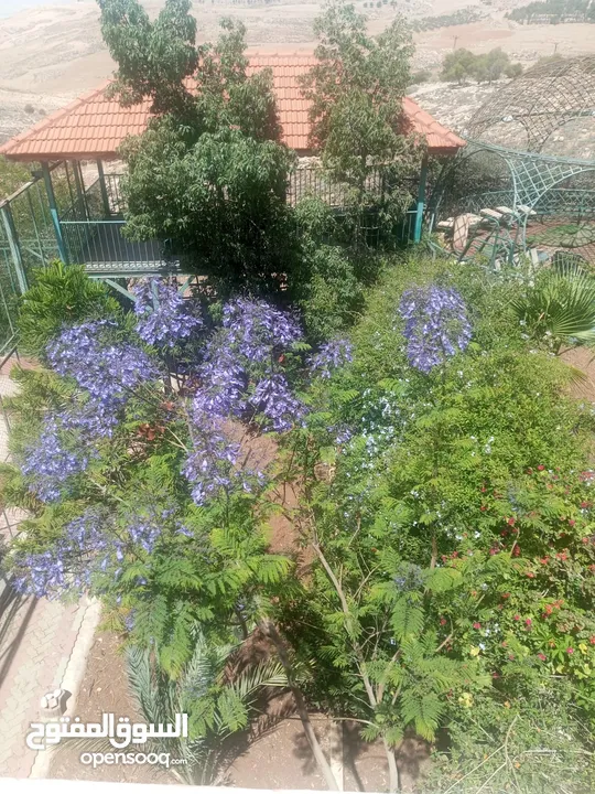 مزرعة روز فيلا للايجار Rose Villa
