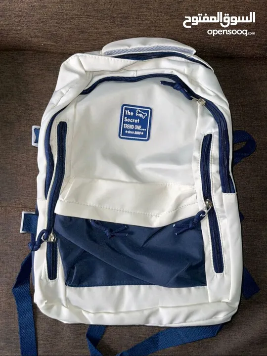 BACK PACK (BLUE AND WHITE)