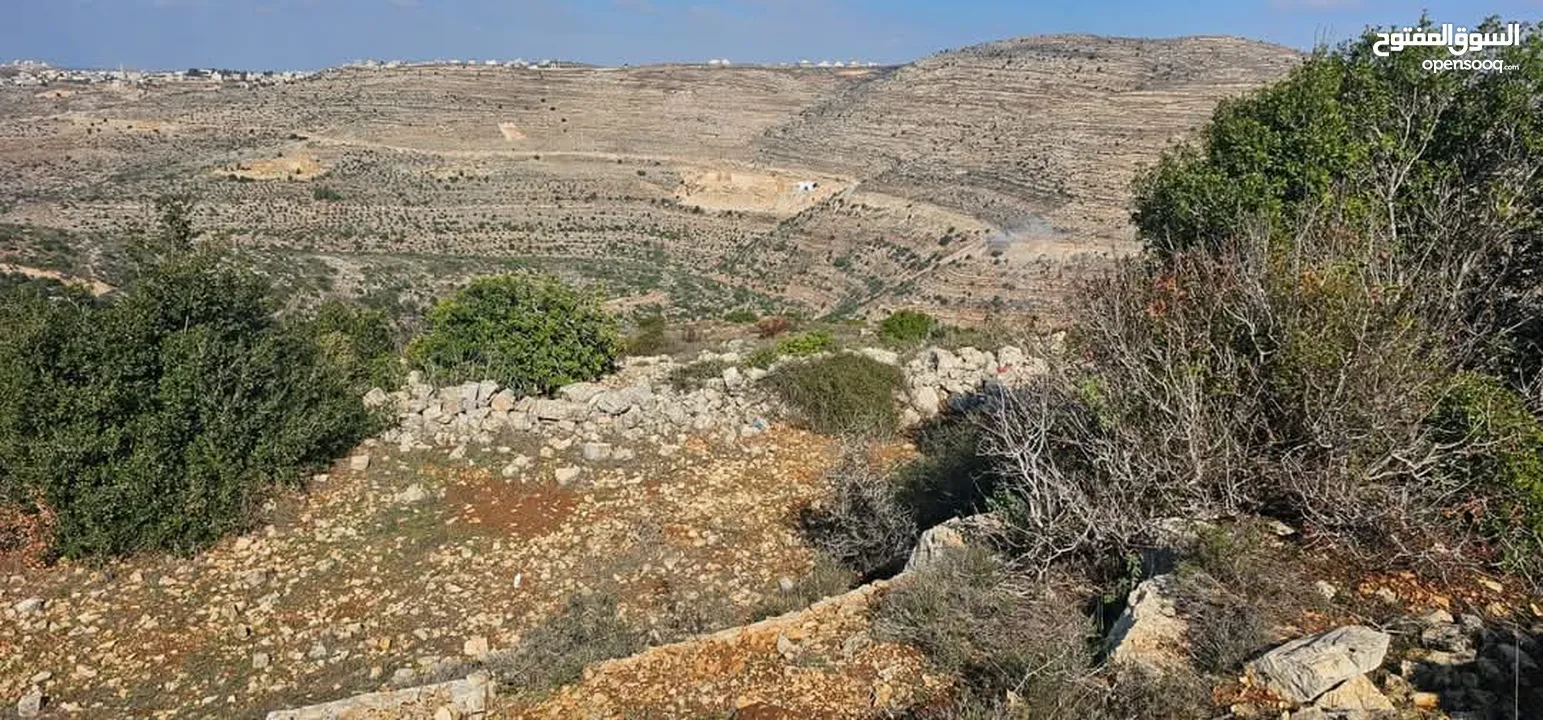 قطعة أرض للبيع  في عطارة رام الله
