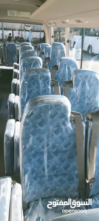 Bus rosa 34 seat